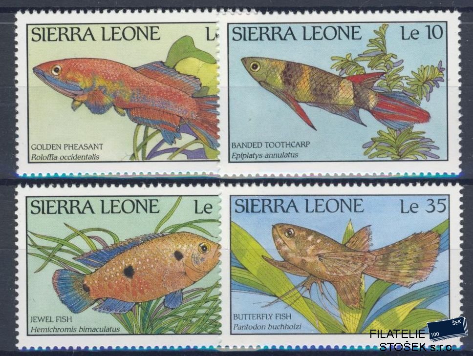 Sierra Leone známky Mi 1081-84 - Ryby